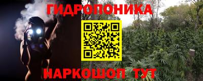 дмт Обь
