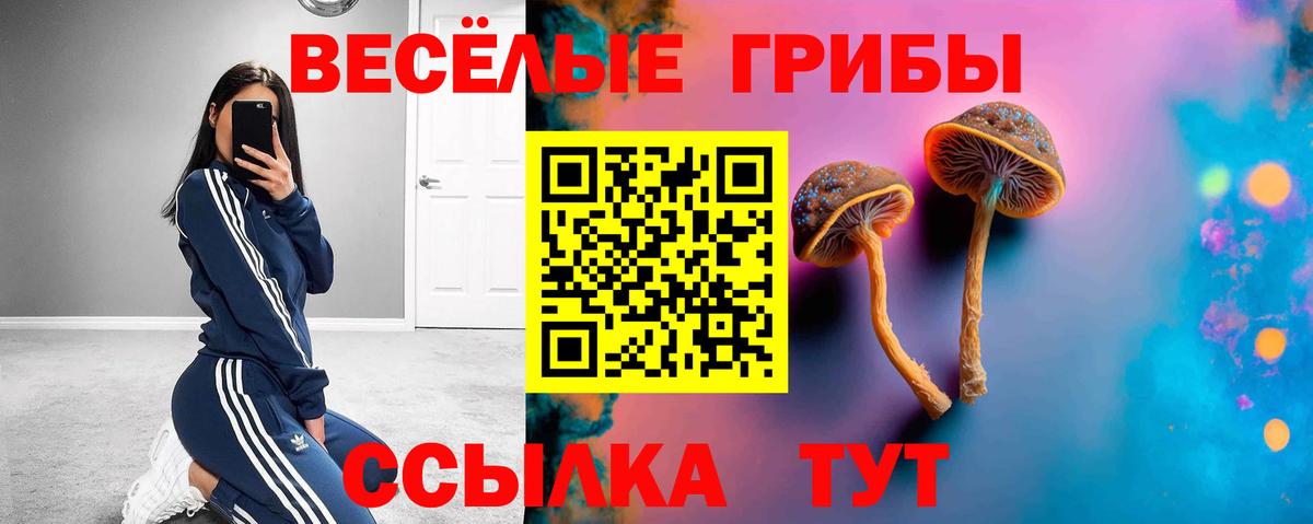 даркнет сайт  Псилоцибиновые грибы Cubensis  Вход с VPN  Соликамск 